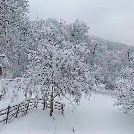 Sterwen Sauna Chalet